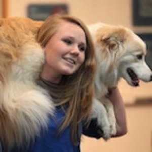 Robin's Dog Stars Animal Act - Circus Entertainment in Lake Villa, Illinois