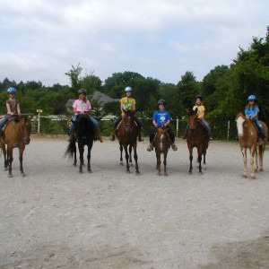 Rolling Hills Farm Equestrian Center