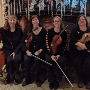 Rondo String Quartet - String Quartet / Wedding Entertainment in Rochester, Michigan