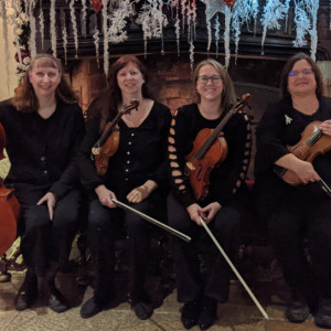 Rondo String Quartet - String Quartet / Classical Ensemble in Rochester, Michigan