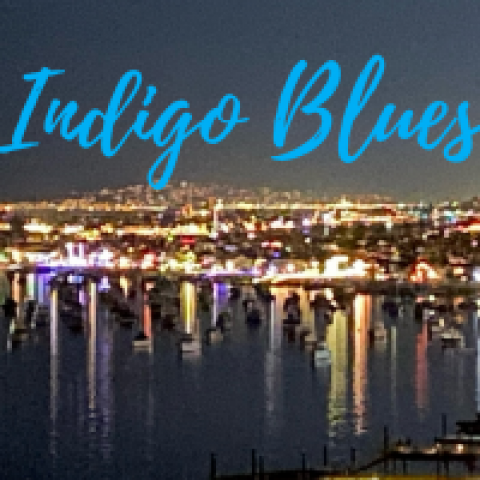 Hire Indigo Blues - Cover Band in Trabuco Canyon, California