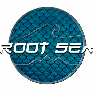 Root Sea - Reggae Band in Jacksonville Beach, Florida