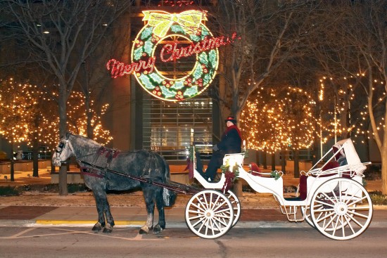 Gallery photo 1 of Rosewood Carriage Rides