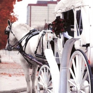 Rosewood Carriage Rides - Horse Drawn Carriage / Wedding Services in Fort Wayne, Indiana