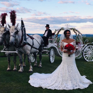 Running Springs Farm Horse Drawn Carriage Service - Horse Drawn Carriage / Wedding Services in Pottsville, Pennsylvania