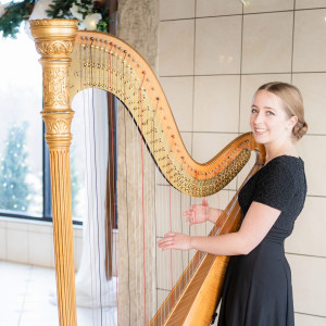 Sacred Strings - Harpist in Hobart, Indiana