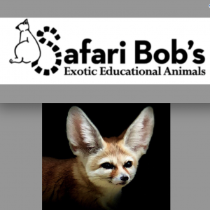 Safari Bob's Exotic Animal Encounters - Petting Zoo in Lake Worth, Florida