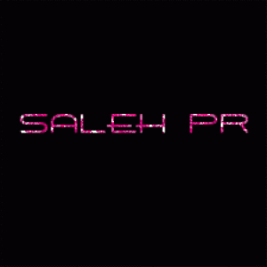 Saleh Public Relations - Event Planner in Washington, District Of Columbia