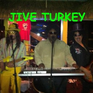Jive Turkey - Funk Band in St Louis, Missouri