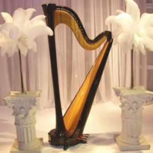 Samara Egan - harpist in Pittsburgh, PA - Harpist in Cheswick, Pennsylvania