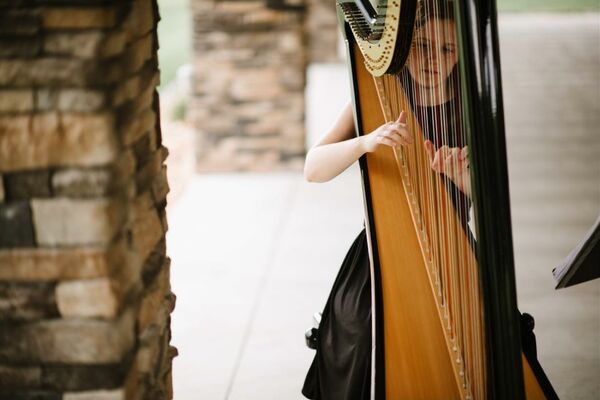 Gallery photo 1 of Samara Egan - harpist in Pittsburgh, PA