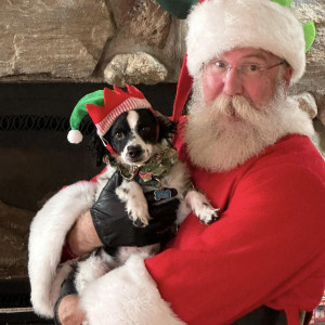 Santa-On-The-Go! - Santa Claus / Holiday Party Entertainment in Palm Springs, California