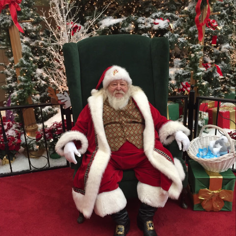 Hire Santa Appearances - Santa Claus In Normal, Illinois