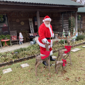 Santa At Large - Santa Claus in Sardis, Mississippi