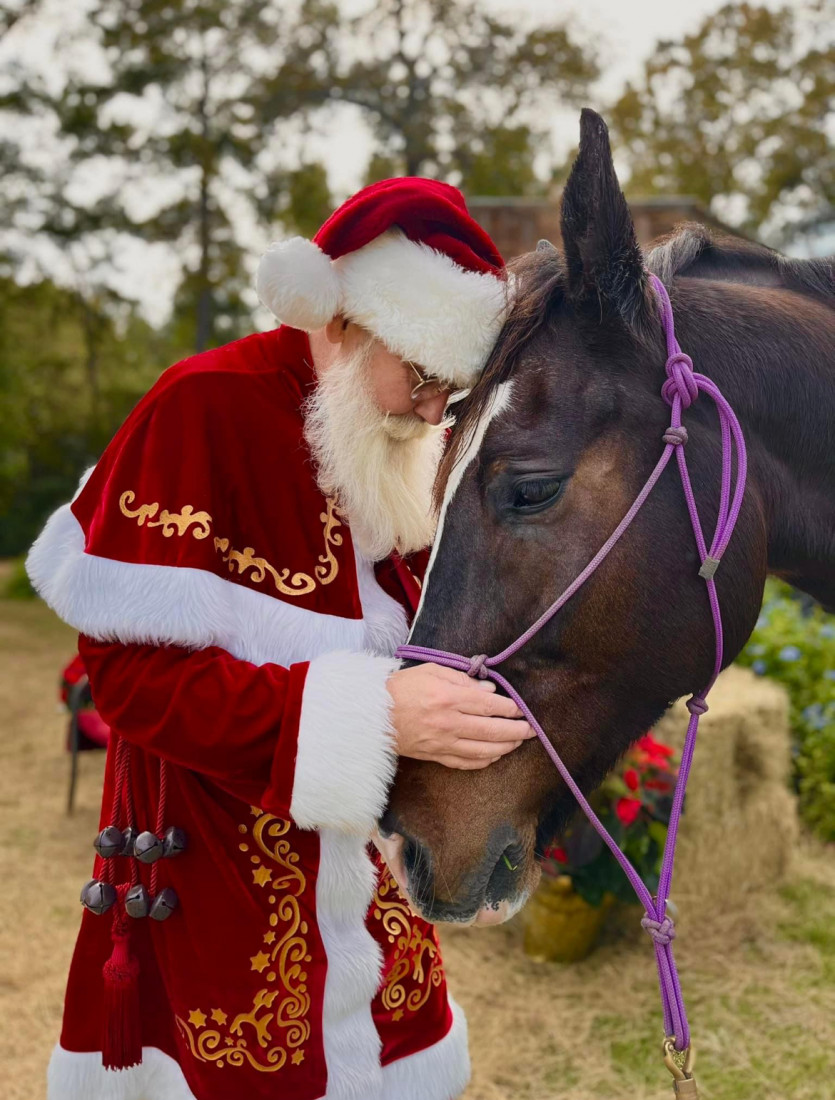 Gallery photo 1 of Santa B Claus