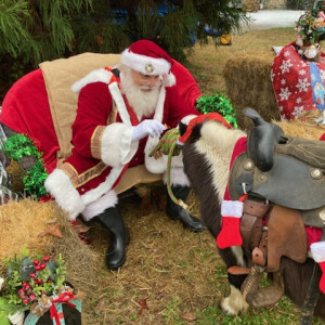 Santa Bobby - Santa Claus in Douglasville, Georgia
