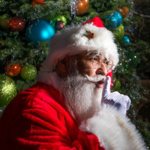 Santa - Santa Claus in Cedar Crest, New Mexico