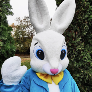 Holiday of Wonders - Easter Bunny in Sausalito, California