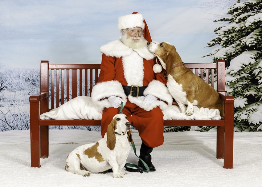 Hire The Party Artist Santa Claus in Baton Rouge, Louisiana