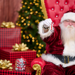Santa Claus Ed - Santa Claus / Holiday Party Entertainment in Port Charlotte, Florida