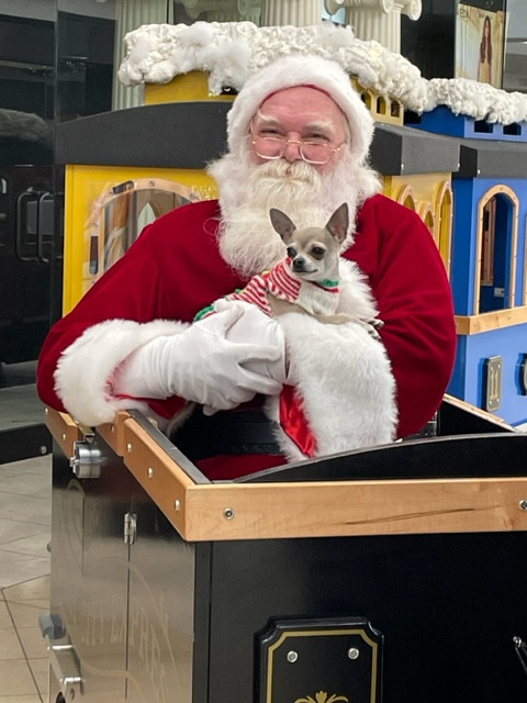 Gallery photo 1 of Santa Claus Anthony