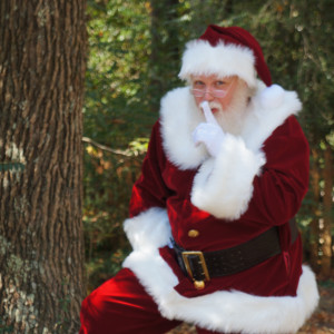 Reindeer Games LLC - Santa Claus in Marietta, Georgia