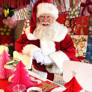 Santa Tripp - Santa Claus / Holiday Entertainment in Houston, Texas