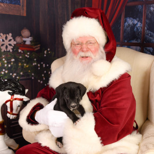 Santa Greg - Santa Claus in Manassas, Virginia