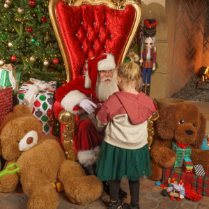 Santa Karl - Santa Claus in Las Vegas, Nevada