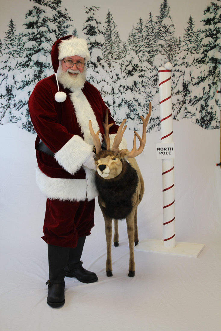 Gallery photo 1 of Santa Mark CT