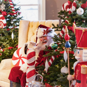 Santa Mike B - Santa Claus / Holiday Party Entertainment in St Clair, Michigan