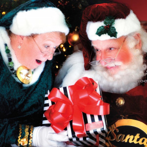 Santa Ron & Mrs. Claus - Santa Claus / Balloon Twister in Raleigh, North Carolina