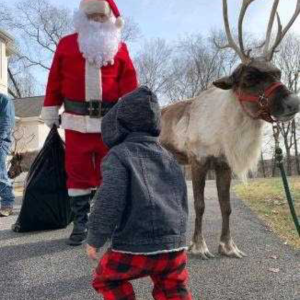 Santa Tracy - Mrs. Claus in Conway, South Carolina