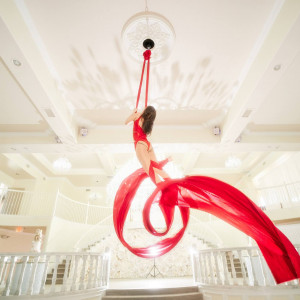 Sanya Ismail - Aerialist - Aerialist / Mardi Gras Entertainment in Chicago, Illinois