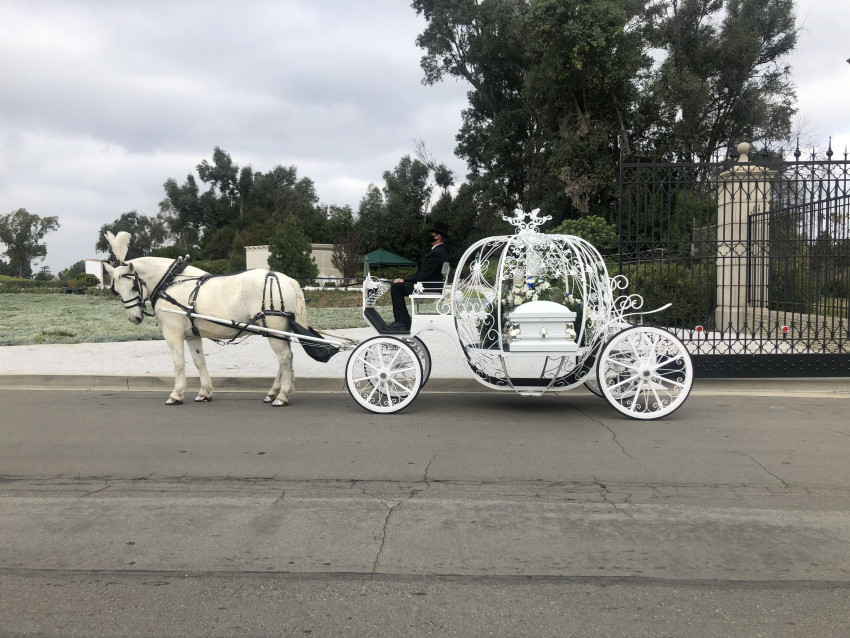 Hire Savannah Rose Carriages Horse Drawn Carriage in Rancho Cucamonga, California