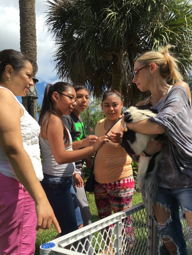 Hire Scales and Fur Petting Zoo in Boca Raton, Florida