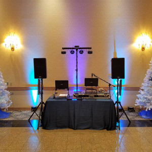 Schiller Chicago Weddings & Event DJS - Mobile DJ / Outdoor Party Entertainment in Arlington Heights, Illinois