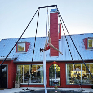 Carolyn SCHULTZ - Aerialist / Human Statue in Austin, Texas