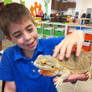 Science Labs & Live Animals for Parties - Arts & Crafts Party / Science Party in Fort Lauderdale, Florida