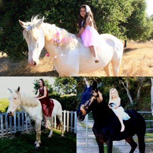Seahorse Pony Party and Face Painting