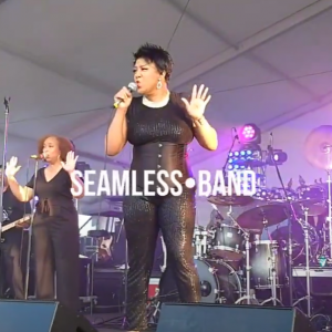 SeamLess - Cover Band / Wedding Musicians in Suffolk, Virginia