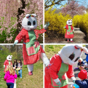 Seashell Santas - Santa Claus / Patriotic Entertainment in Ringoes, New Jersey