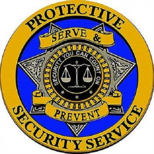 Security Protection & Chauffeur Services