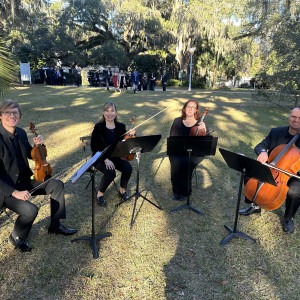 Seiler Strings - String Quartet in Tallahassee, Florida