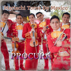 Mariachi Toros de Mexico de Roberto Cortes - Mariachi Band in Bakersfield, California