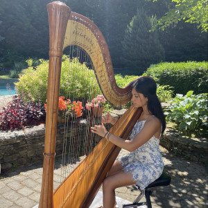 Shaila Patel Harp - Harpist / Chamber Orchestra in Farmington, Connecticut