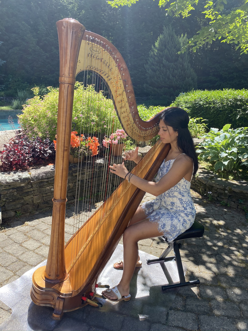 Gallery photo 1 of Shaila Patel Harp