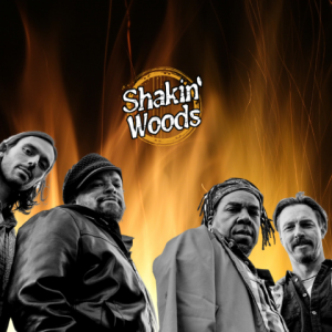 Shakin Woods Blues Band - Blues Band in Washington, District Of Columbia