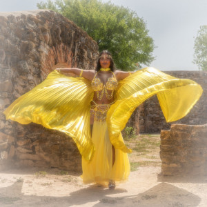 Hadarashei Danzare - Belly Dancer in San Antonio, Texas