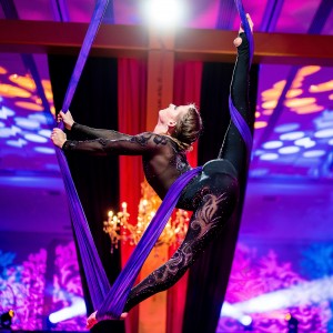 Cirque deLuxe - Acrobat / Balancing Act in Baltimore, Maryland